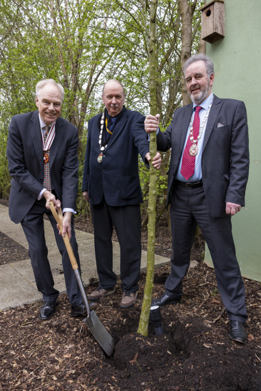 Mr Jeremy Newsum deputy lieutenant, Cllr Peter Sandford and Cllr Peter Fame plan t a tree for the 50th aniversary