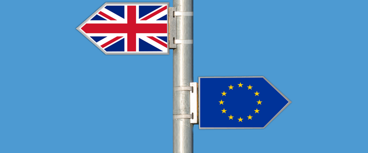 Council calls for People’s Vote on Brexit terms