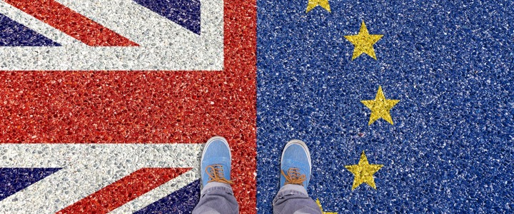 Businesses urged to help shape Council work to support them on Brexit