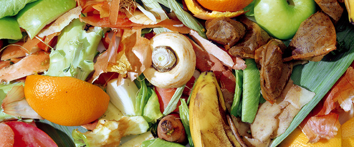 Kitchen food waste