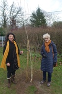 Cllr Bridget Smith and Cllr Claire Daunton with a newly planted tree