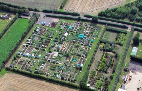 aerial view of Swavesey allotments