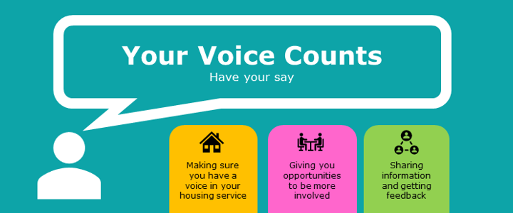 Resident Involvement Strategy Consultation