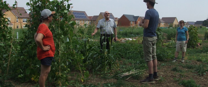 Grow-your-own community flourishes at first Northstowe allotments
