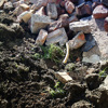 Building rubble, soil and bricks