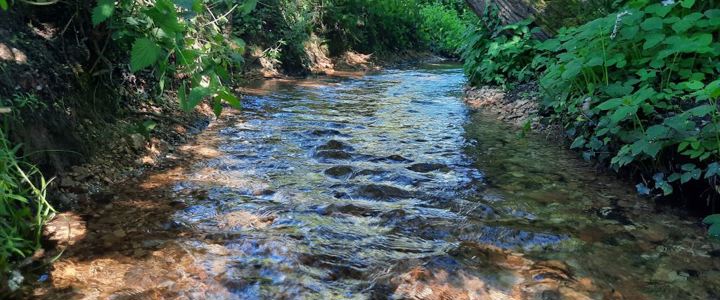 Support for Chalk stream project