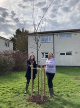Cllr Anna Bradnam and officer Victoria Laxton alongside a newly planted tree