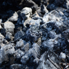 Ash (briquettes or coal)
