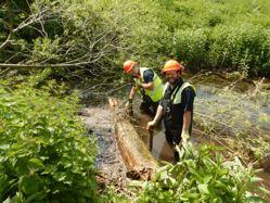 The River Mel, surrounded by green foliage. There are two Council operatives pictured in the water, which is up to their knee-height. Lee Haywood and Wes Thurley are helping to place new materials on the riverbed.