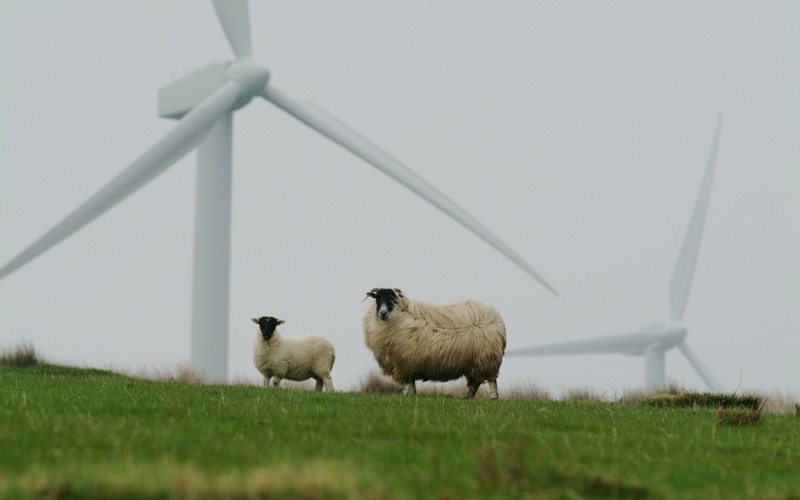 2b community energy.jpg