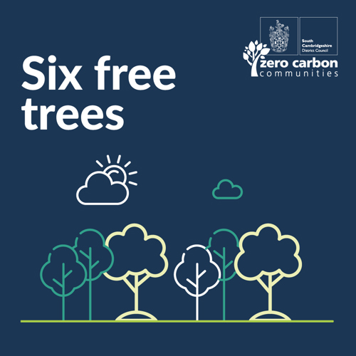 Six free trees social square