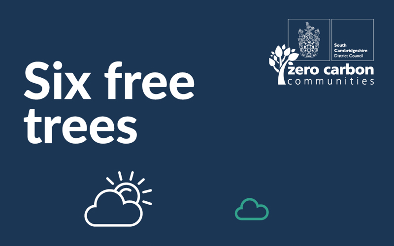 Six free trees thumbnail.jpg