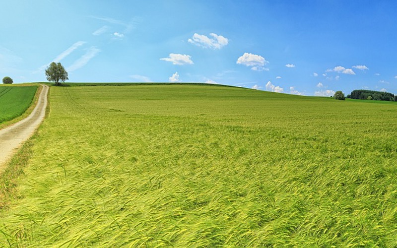 rural-england.jpg