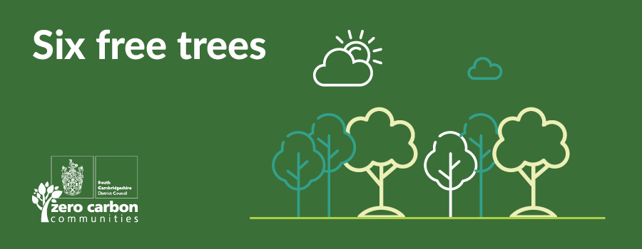 Six Free Trees graphic