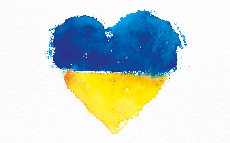 SCDC_Landing Page Heart_620x300px.jpeg