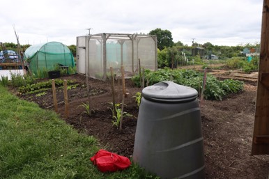 photo of an allotment