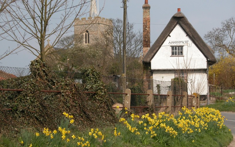 Thriplow church & daffodils - 4.jpg