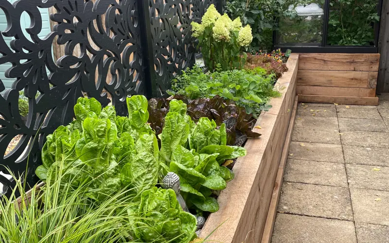 2 Over garden officially opens.webp